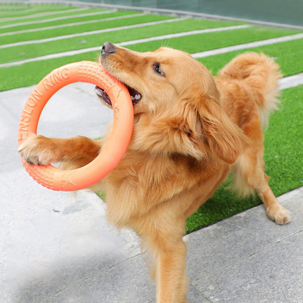 Anneau d'entraînement pour chi - Flying Disc Dog Training Toy avis et prix