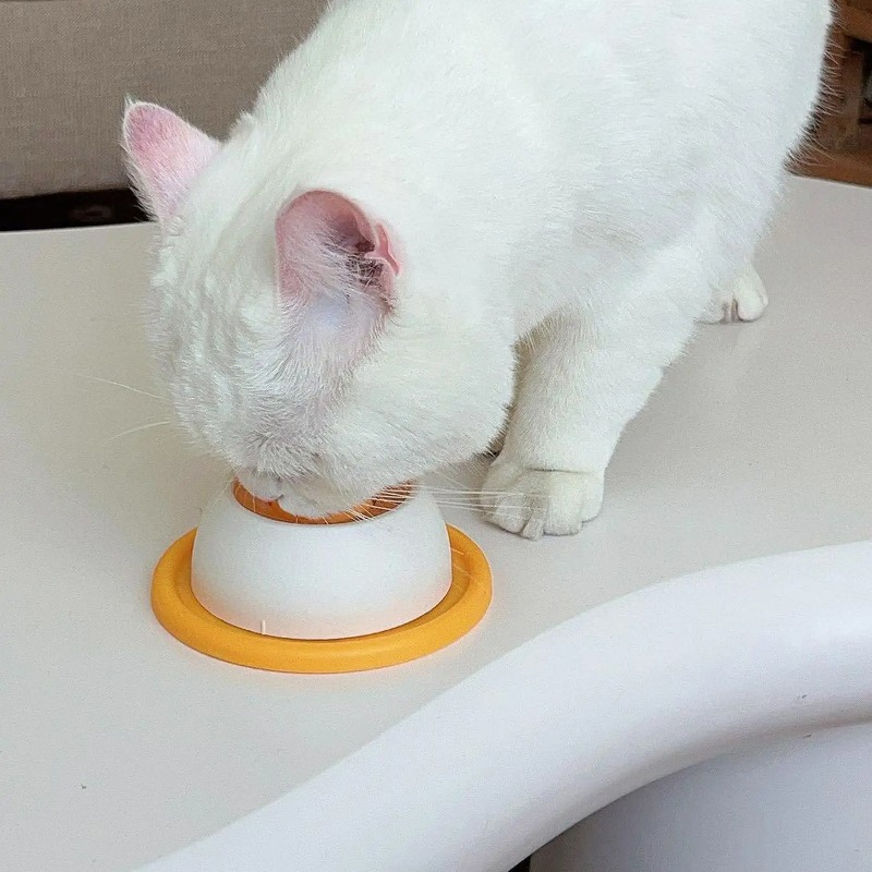 Gamelle anti-glouton pour anim - Dog Puzzle Feeder Toy avis et prix