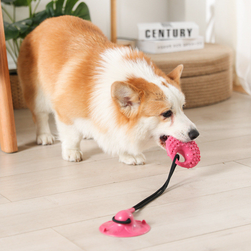 Jouets pour chiens ventouse en - Suction Cup Dog Tug Toy avis et prix