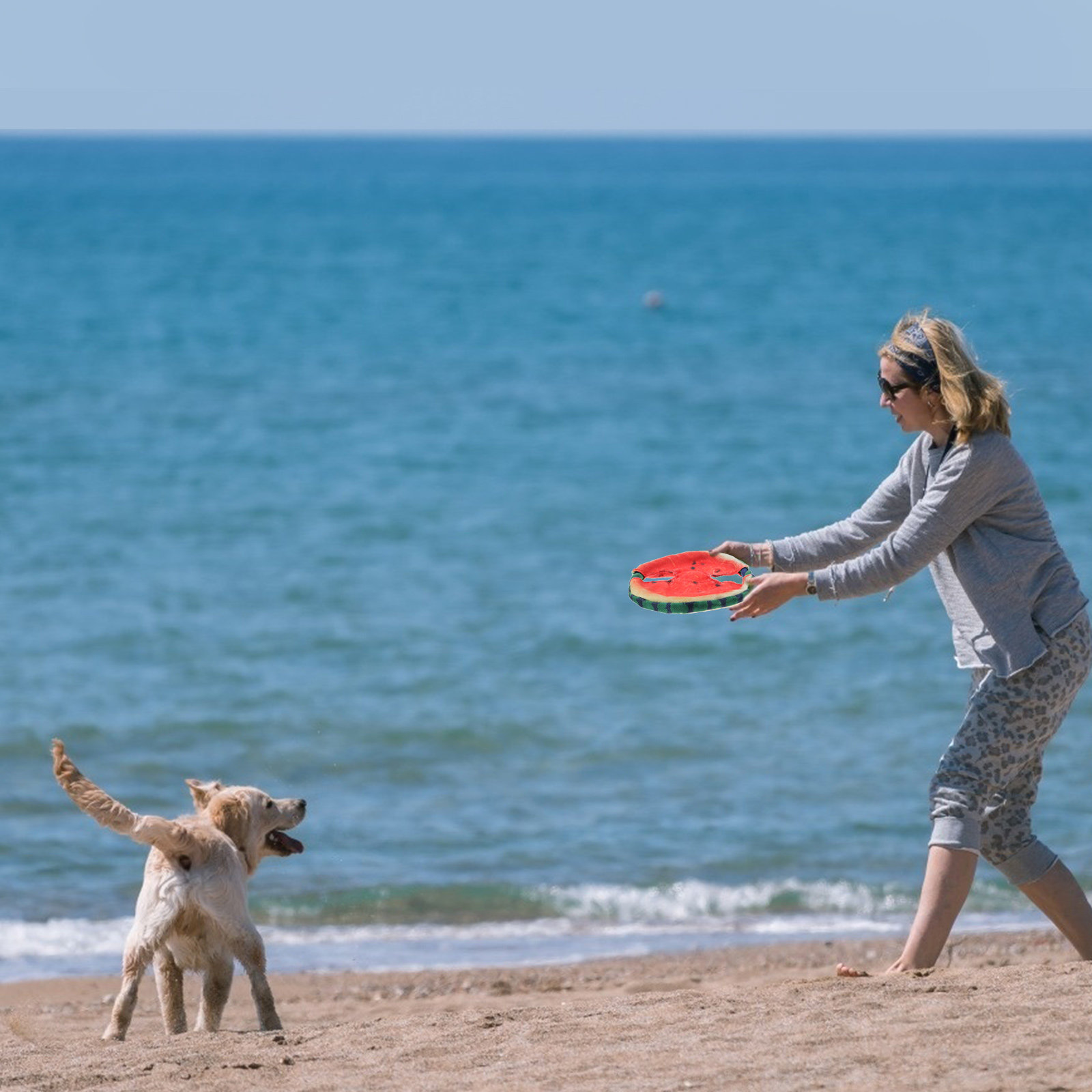 Disque volant pour chien, moti - Flying Disc Dog Training Toy avis et prix