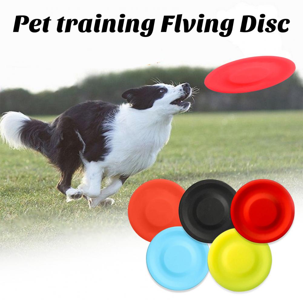 Jouet de disque volant pour ch - Flying Disc Dog Training Toy avis et prix