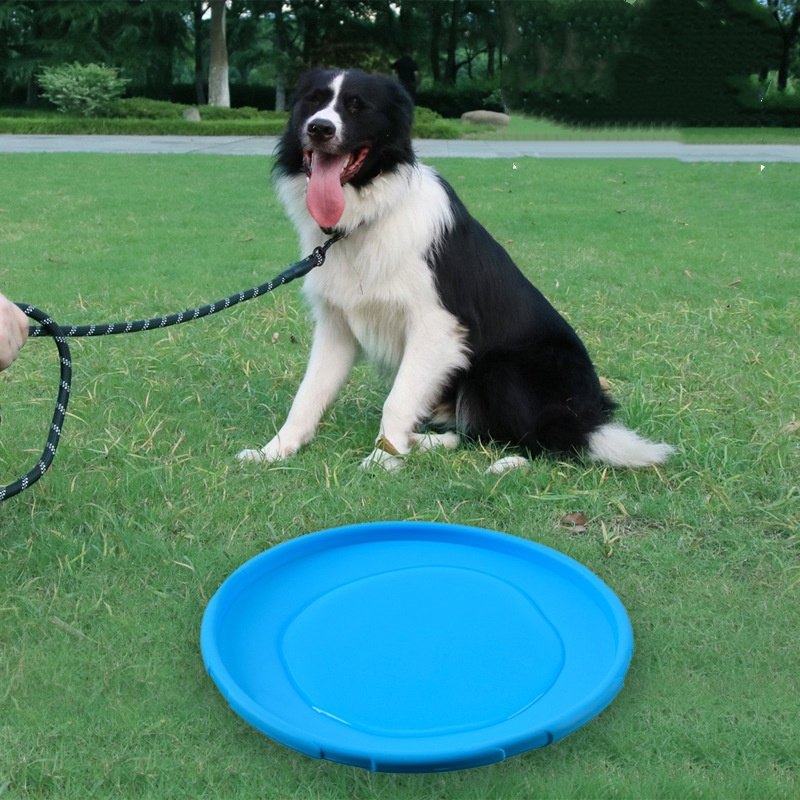 Soucoupe volante interactive e - Flying Disc Dog Training Toy avis et prix