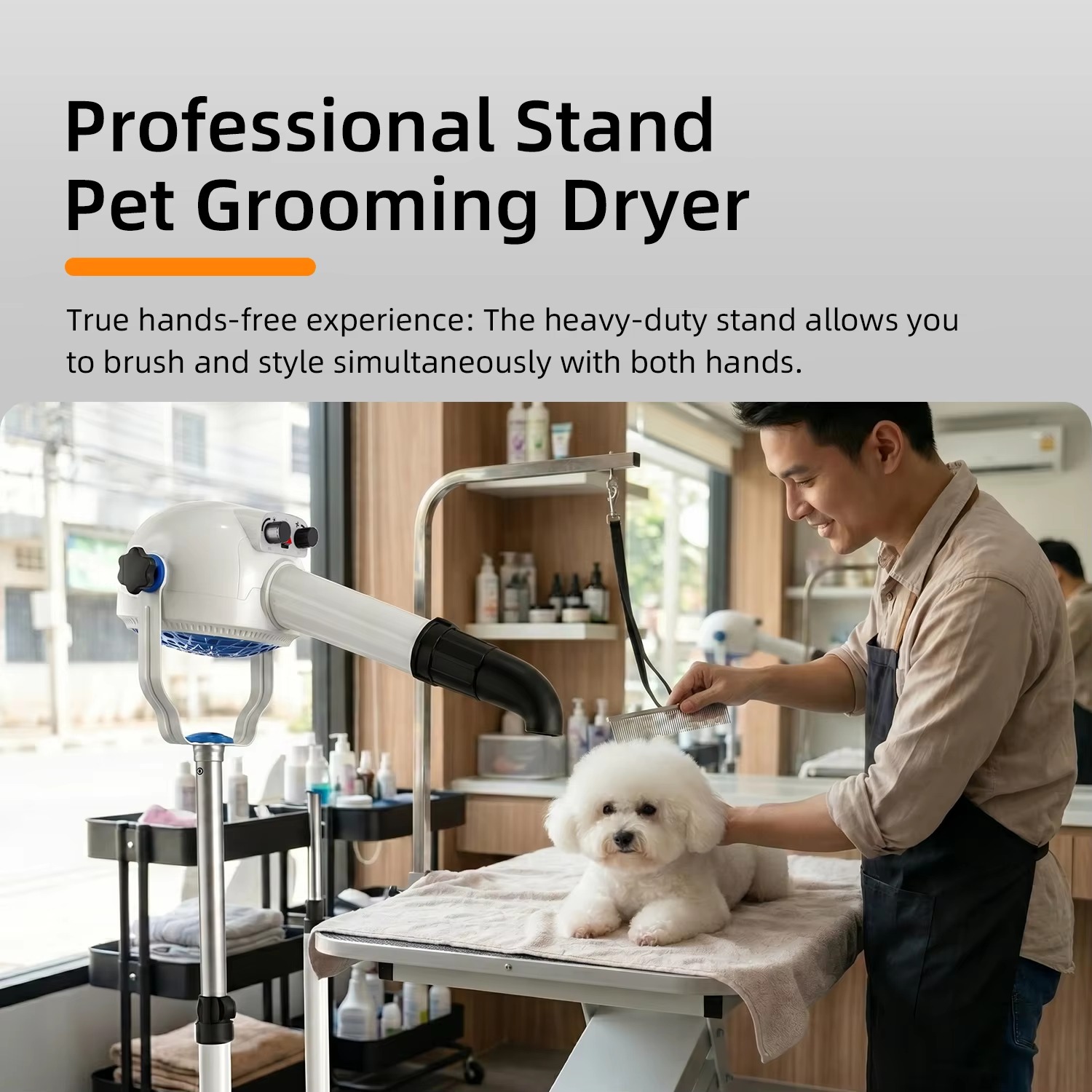 Séchoir Anionique pour Animaux - Pet Grooming avis et prix