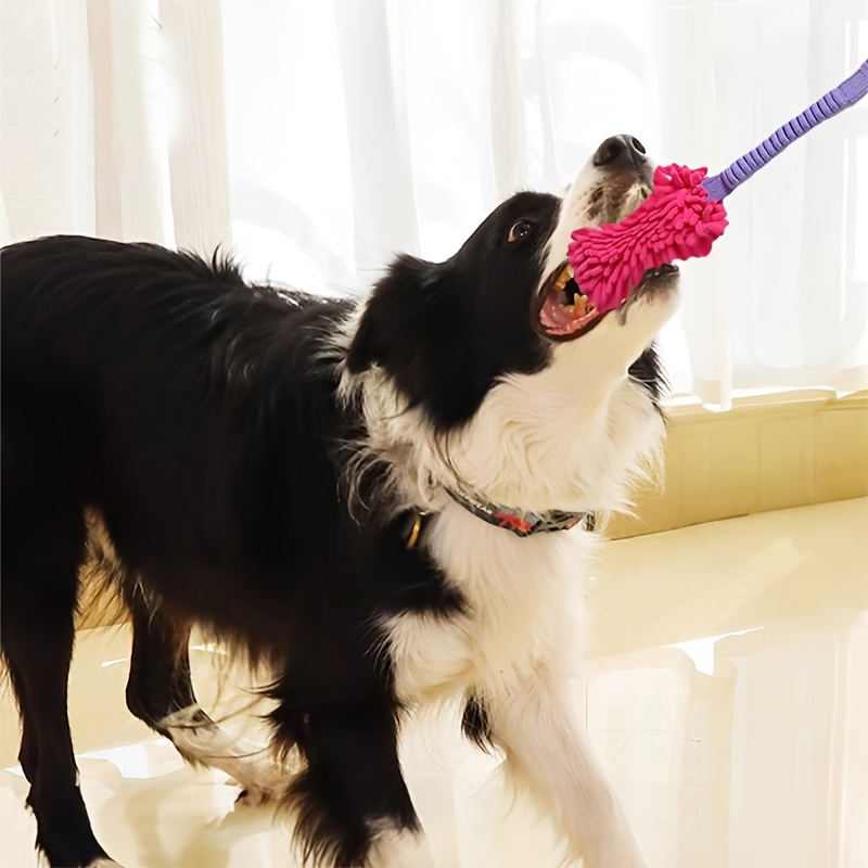 Jouets durables pour chiens po - Suction Cup Dog Tug Toy avis et prix